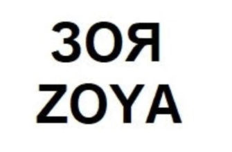 Сергей Шнуров зарегистрировал товарный знак ЗОЯ (ZOYA)